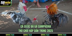 Cá Cược Đá Gà Campuchia – Thú Chơi Hấp Dẫn Trong 2025